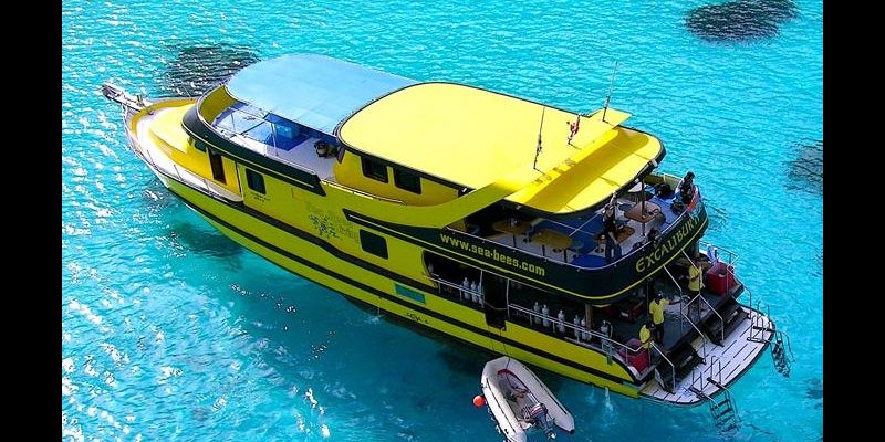 Die Excalibur II - das Schiff, mit dem wir gefahren sind Sea Bees Excalibur II